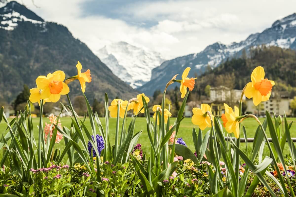 Interlaken nestled in Bernese highlands