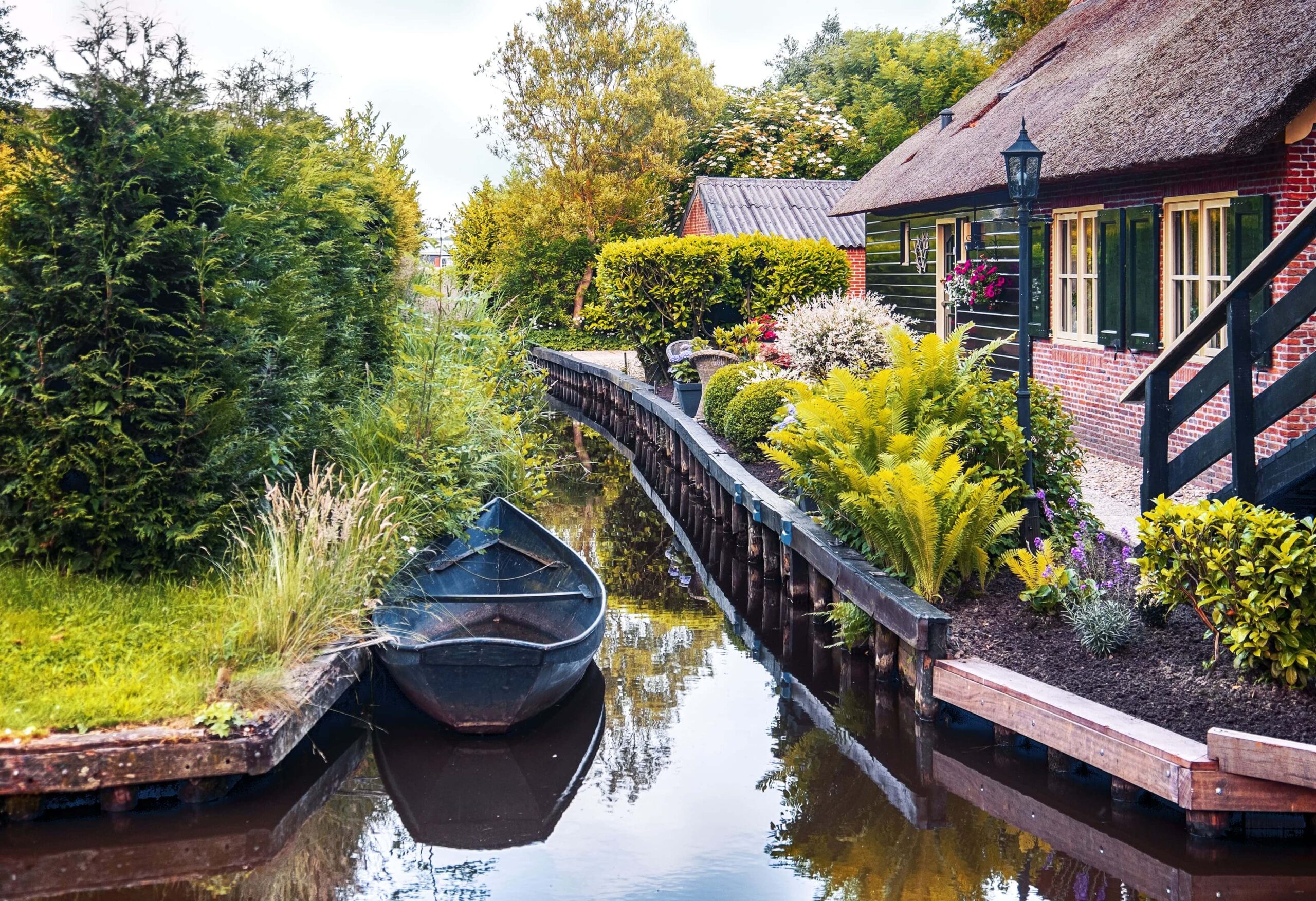 Rent a pedal boat