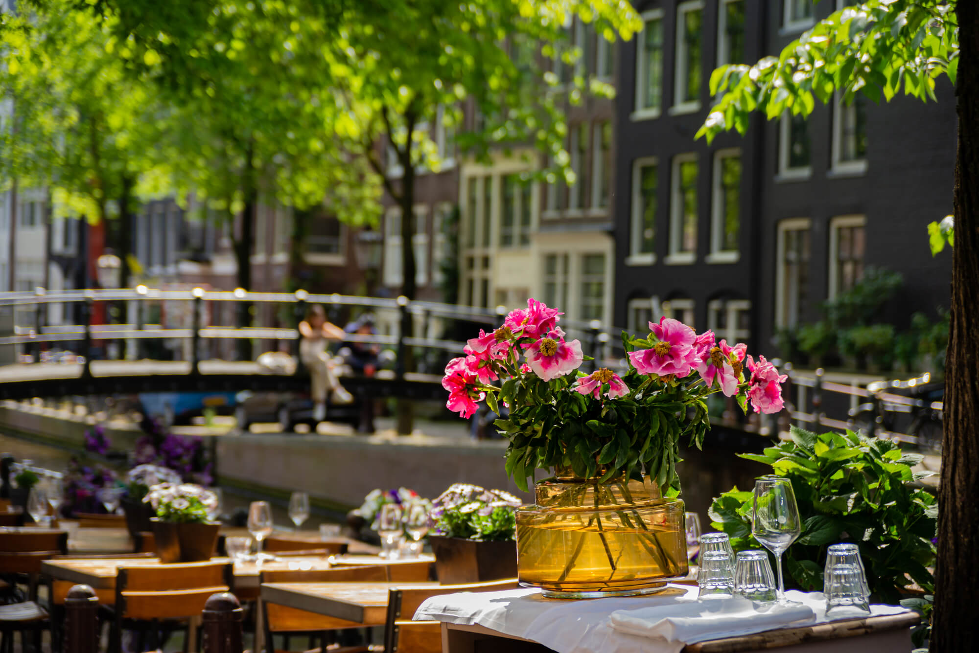 Romantic dining in Amsterdam across the canals