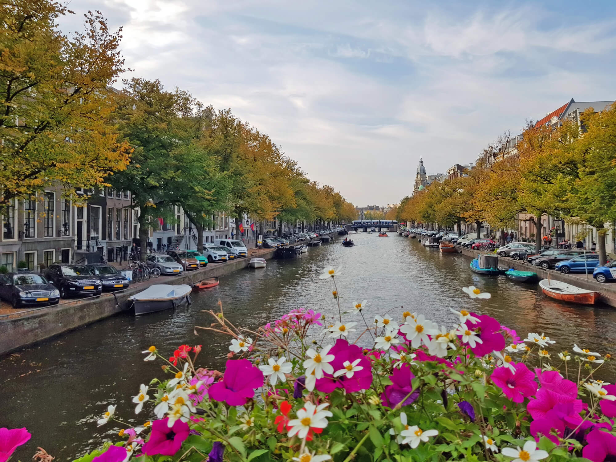 Beautiful bridges of Amsterdamm