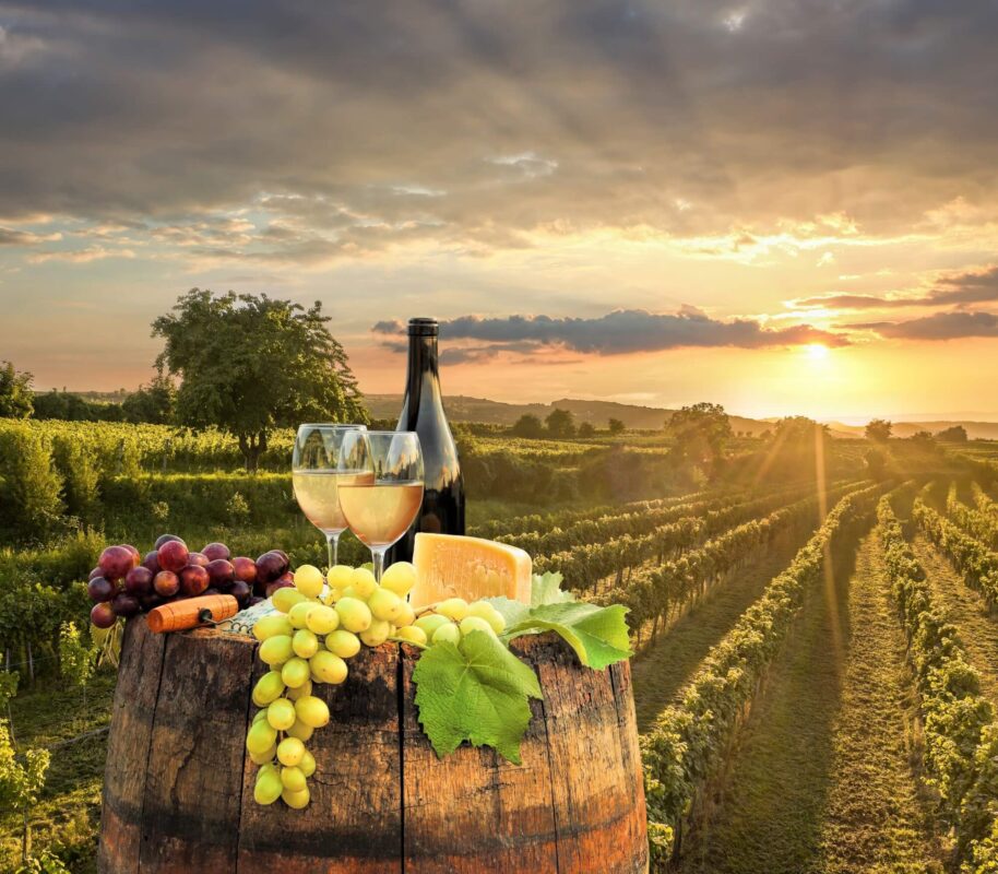 Winte tasting in Wachau Valley