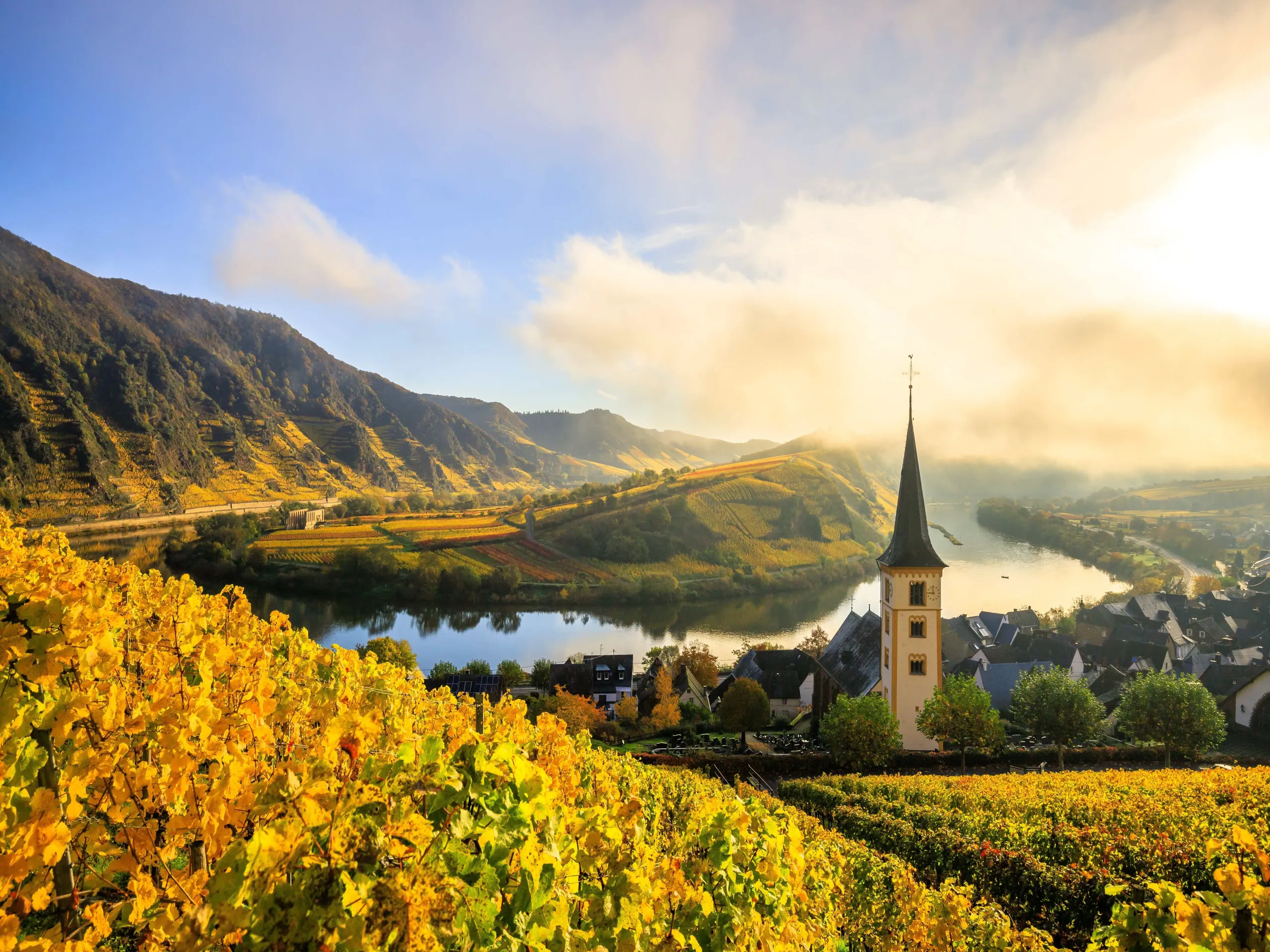 Germany has a variety of landscapes, including river valleys covered in vineyards.