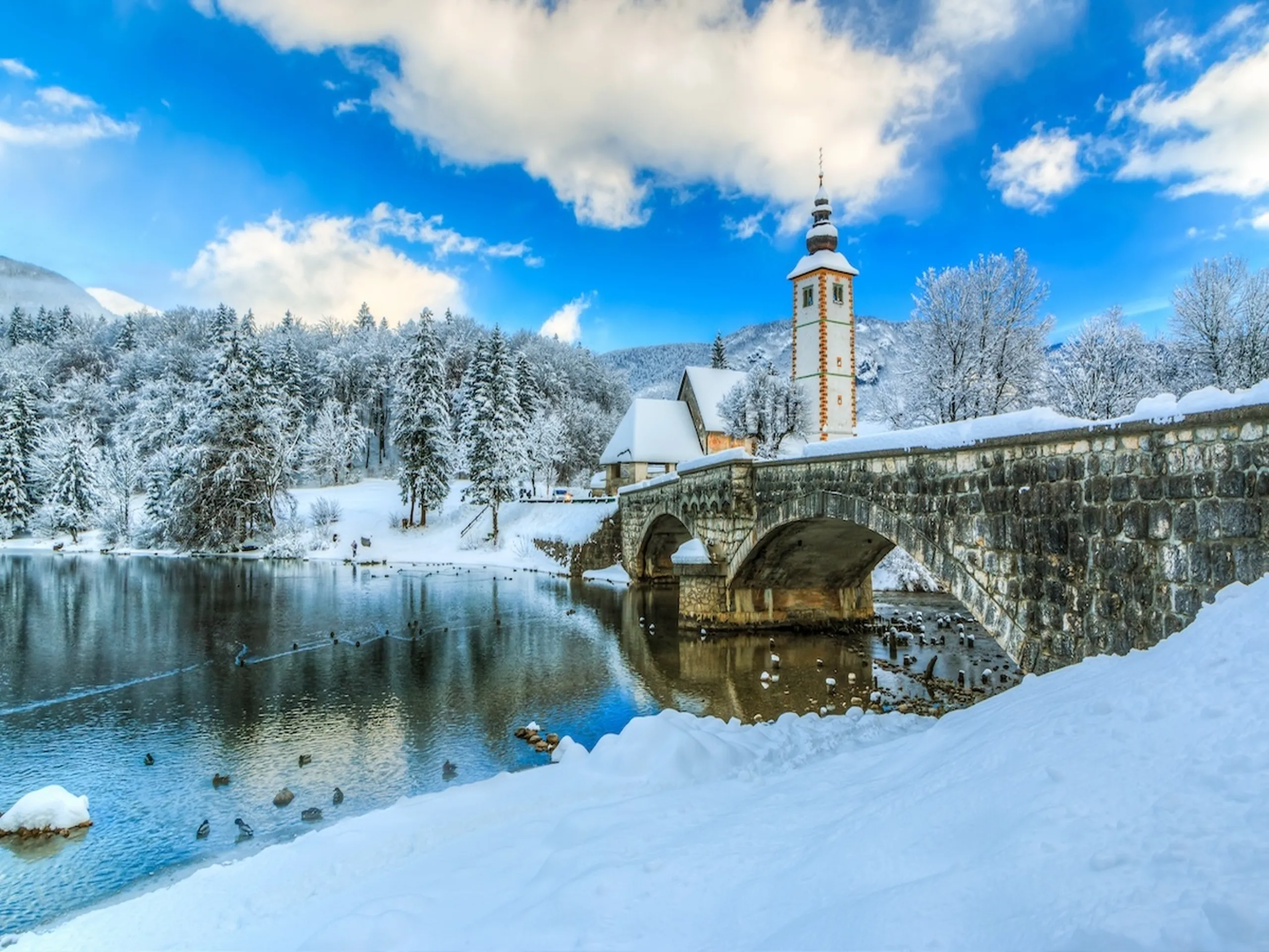 Lake Bohinj during winter